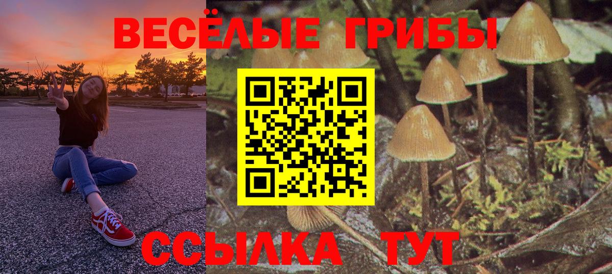 Галлюциногенные грибы MAGIC MUSHROOMS  Вход с VPN  цена наркотик  Нефтекумск  Галлюциногенные грибы Psilocybine cubensis 